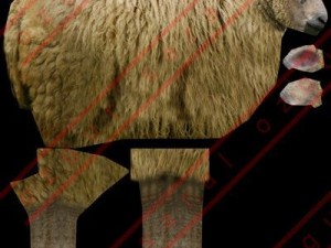 Sheep 3D Модель