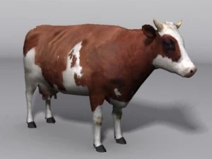 Cow 3D Model