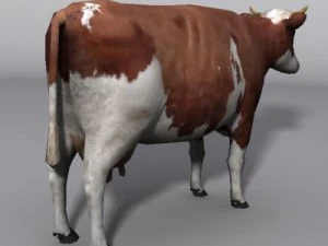 Cow 3D Model