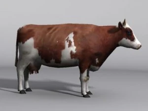 Cow 3D Model