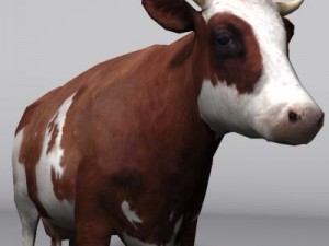 Cow 3D Модель