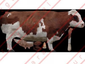 Cow 3D Модель