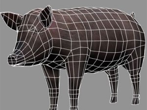 Pig Model 3D