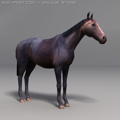 Horse Model 3D .c4d .max .obj .3ds .fbx .stl .blend 
