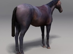 Horse Model 3D