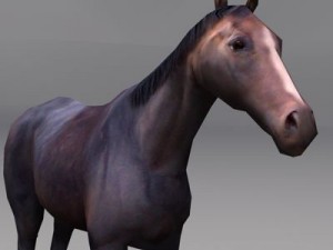 Horse Model 3D