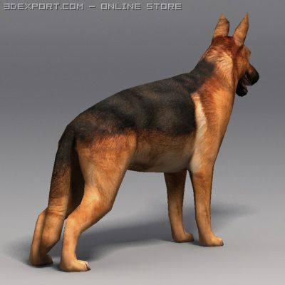 German Shepherd 3d Model In Dog 3dexport