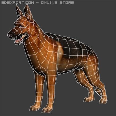 German Shepherd 3d Model In Dog 3dexport