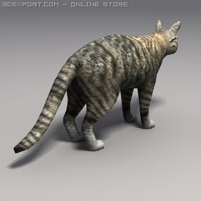 cat 3D 모델 .c4d .max .obj .3ds .fbx .stl .blend 