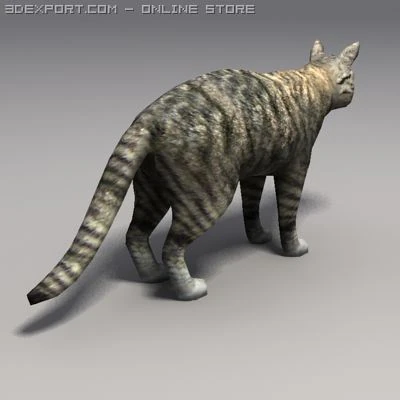 cat 3D Model .c4d .max .obj .3ds .fbx .stl .blend 