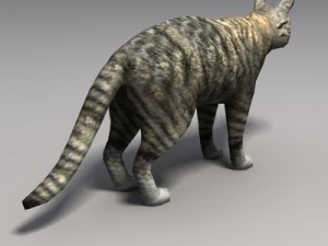 cat 3D Model