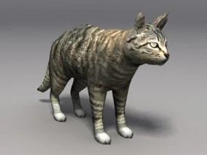 cat 3D Model