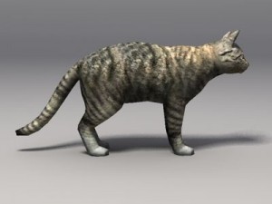 cat 3D 모델