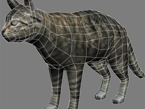 cat 3D Model