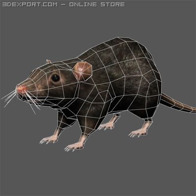 Моделирую шмоделирую девять крыс. Крыса 3д модель. крыса 3d модель. развертка крыса. крыса low poly.