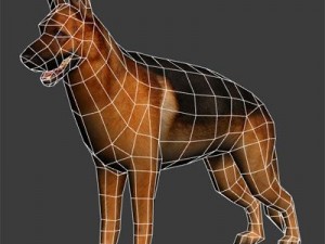 Animals Modelo 3D