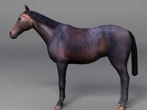Animals Modelo 3D