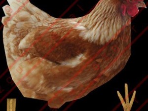 Animals Modelo 3D