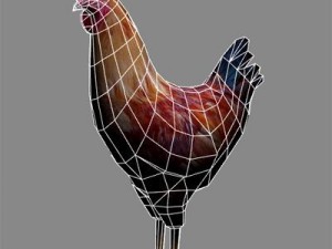 Animals Modelo 3D