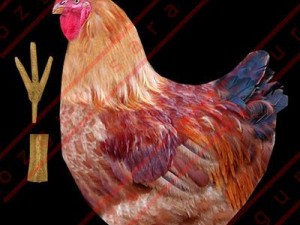 Animals Modelo 3D