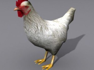 Animals Modelo 3D