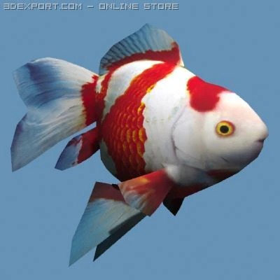 Золотая рыбка 02 3D Модель .c4d .max .obj .3ds .fbx .stl .blend 