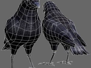 Crow 3D 模型