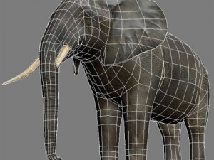 Elephant Modello 3D