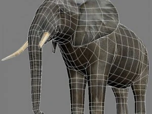 Elefante Modello 3D