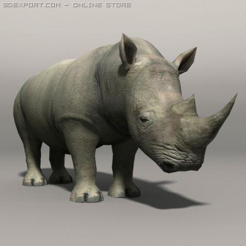 Rhino 3D Model .c4d .max .obj .3ds .fbx .stl .blend 