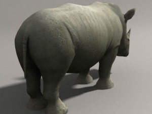 Rhino 3D Model