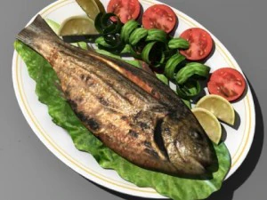 Comida de peixe Modelo 3D