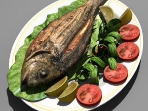 Fish food Modelo 3D