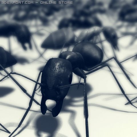 Ant 3D Модель .c4d .max .obj .3ds .fbx .stl .blend 