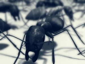 Ant 3D-Modell