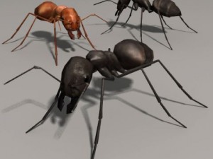 Ant 3D Модель