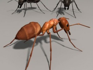 Ant 3D Модель