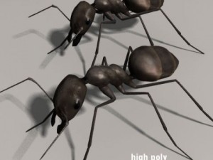 Ant 3D Модель