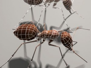 Ant 3D Модель