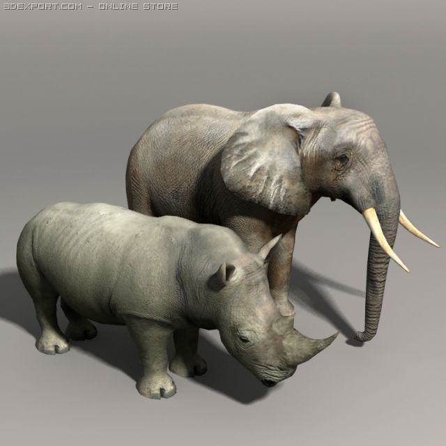 Elephant and rhino 3D मॉडल .c4d .max .obj .3ds .fbx .stl .blend 