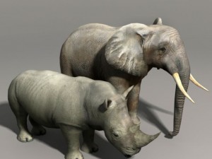 Elephant and rhino Modelo 3D
