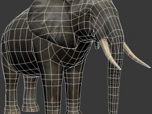 Elephant and rhino 3D मॉडल