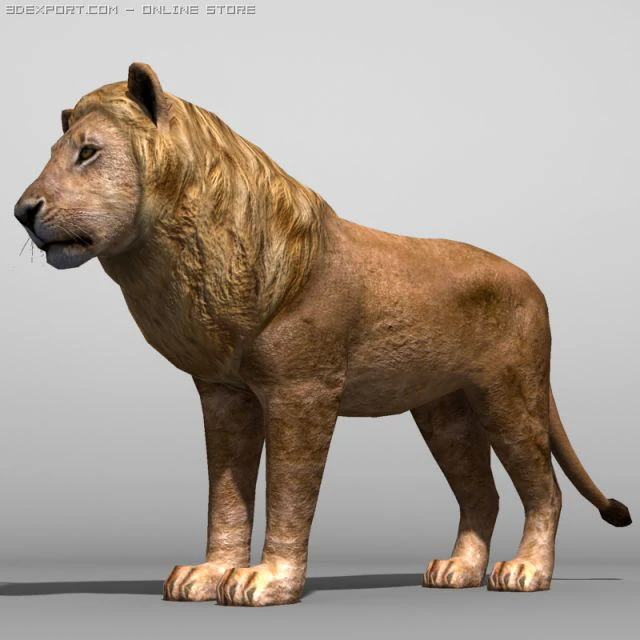 Lion 3D Model .c4d .max .obj .3ds .fbx .stl .blend 