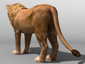 Lion Modelo 3D