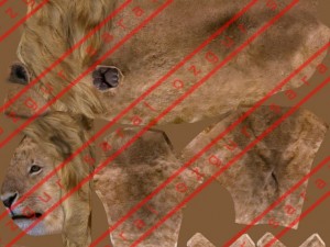 Lion Modelo 3D