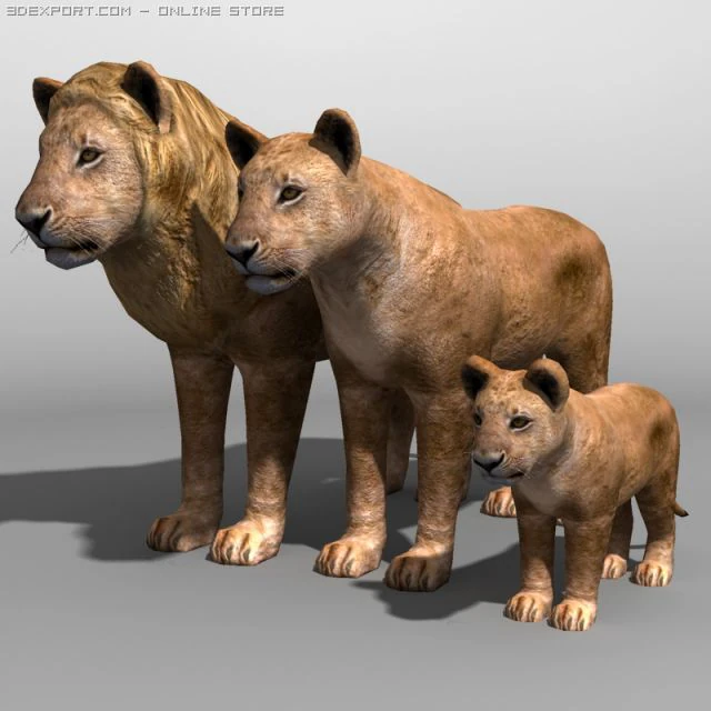 Lion family 3D Model .c4d .max .obj .3ds .fbx .stl .blend 