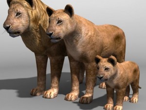 Lion family 3D Model