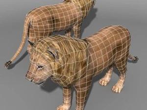 Lion family 3D Model