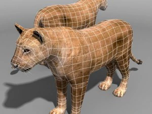 Lion family 3D Model