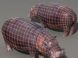 Hippopotamus 3D Model